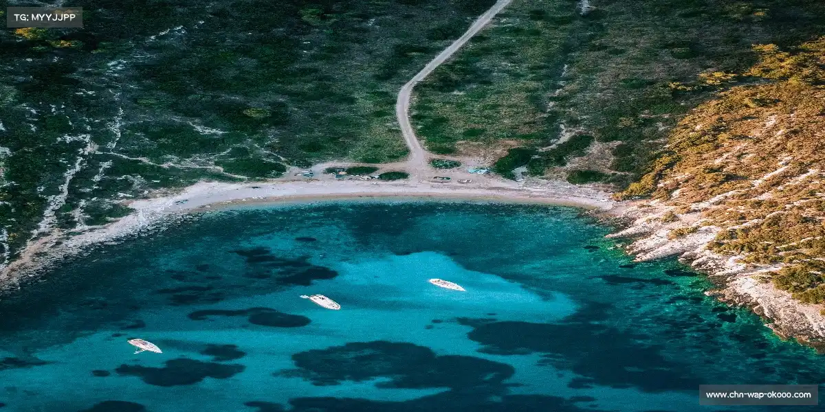 澳客官方网——⚽💫 电梯任意球,幻弧破阵!